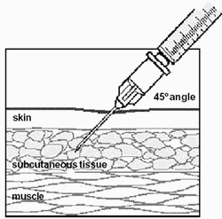 What are Peptides and what they do? - WikiPeptides - Peptides Encyclopedia